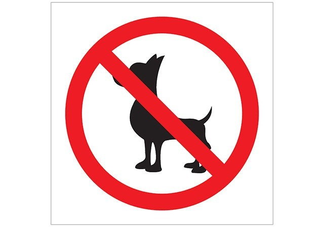PLACA SÍMBOLO PROIBIDO CACHORROS OU CÃES